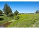 Serene creek flowing through a lush green meadow filled with wildflowers at 2470 Driftwood, Elizabeth, CO 80107