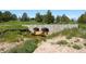Concrete drainage structure with arches, showcasing functional infrastructure at 2470 Driftwood, Elizabeth, CO 80107