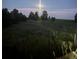 Dusk view shows green pasture land dotted with mature trees at 2470 Driftwood, Elizabeth, CO 80107