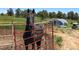 Close-up of a black horse standing behind a red fence, showcasing its beauty and character at 2470 Driftwood, Elizabeth, CO 80107