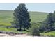 Scenic view of horses resting under the shade of a large tree in a lush, green pasture at 2470 Driftwood, Elizabeth, CO 80107