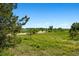 Green landscape featuring diverse trees, wildflowers, and open space, creating a serene setting at 2470 Driftwood, Elizabeth, CO 80107