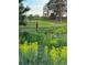 Idyllic meadow scene with wildflowers and scattered trees, offering a serene and peaceful setting at 2470 Driftwood, Elizabeth, CO 80107