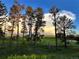 Scenic view of tall trees and green fields under a partly cloudy sky, ideal for outdoor enthusiasts at 2470 Driftwood, Elizabeth, CO 80107