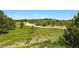 Lush landscape with a mix of trees and greenery, highlighting the property's natural beauty at 2470 Driftwood, Elizabeth, CO 80107
