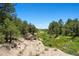 Scenic landscape view featuring trees, sandy ground, and lush greenery under a clear blue sky at 2470 Driftwood, Elizabeth, CO 80107