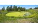 Scenic pond surrounded by lush greenery and trees, offering a serene and natural setting at 2470 Driftwood, Elizabeth, CO 80107