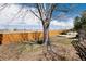 Fenced backyard featuring lush greenery, mature trees, and well-maintained lawn at 11302 Mesa Verde Pl, Parker, CO 80138