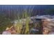 A charming waterfall cascading over stones adding a serene focal point to the backyard pond at 11302 Mesa Verde Pl, Parker, CO 80138