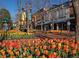 Downtown street scene with colorful tulips, street lamps, and benches on the brick-paved pedestrian area at 827 Maxwell Ave # H, Boulder, CO 80304