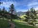 Scenic mountain view with trees and a winding pathway leading up the hillside at 827 Maxwell Ave # H, Boulder, CO 80304