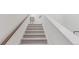 Carpeted stairway features a wood handrail and white walls, creating a clean and modern look at 17825 Gallup St, Broomfield, CO 80023