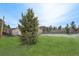 Backyard of the house featuring a green lawn and a large tree at 574 El Paso Rd, Palmer Lake, CO 80133