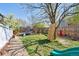 Large backyard featuring a climbing wall, trampoline, green lawn, and a rock-lined garden bed at 13818 Krameria St, Thornton, CO 80602