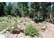 This landscaped backyard has a charming stream and pond surrounded by lush greenery and tall trees at 8171 S Homesteader Dr, Morrison, CO 80465