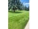 Well-manicured lawn and mature trees provide a serene backdrop for outdoor activities at 12931 W 20Th Ave, Golden, CO 80401