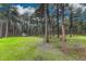 Expansive backyard surrounded by tall trees, offering privacy and natural beauty at 18470 Canterbury Dr, Monument, CO 80132