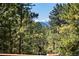 Scenic view of the surrounding trees and mountains in the distance at 23 Hess Ave, Golden, CO 80401