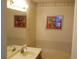 Bathroom with a sink, mirror, and tub, accented by colorful artwork at 19692 E Mann Creek Dr # D, Parker, CO 80134