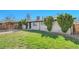 Expansive backyard with lush green grass and a privacy fence at 2544 S Raleigh St, Denver, CO 80219
