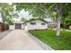 Charming ranch-style home features a well-maintained lawn, mature tree, and a driveway leading to an attached garage at 320 S Jersey St, Denver, CO 80224