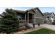 Landscaped single-Gathering home with a covered porch and a two-car garage featuring a beautiful blue spruce tree at 549 Tippen Pl, Castle Rock, CO 80104