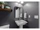 Stylish powder room featuring a pedestal sink, decorative mirror, and modern fixtures at 549 Tippen Pl, Castle Rock, CO 80104