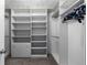 Spacious walk-in closet with custom shelving and ample hanging space for storage at 549 Tippen Pl, Castle Rock, CO 80104