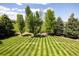 Sprawling green lawn lined with lush trees, enhancing the property's curb appeal and natural beauty at 8937 Little Raven Trl, Niwot, CO 80503