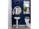 Stylish powder room features a pedestal sink, round mirror, and elegant fixtures at 6235 Stable View St, Castle Pines, CO 80108