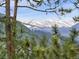 Stunning mountain view framed by pine trees, showcasing natural beauty and serenity at 3173 Gold Yarrow Ln, Evergreen, CO 80439
