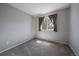 Cozy bedroom with a window and curtains, neutral walls, and plush gray carpet at 381 Tynan Dr, Erie, CO 80516