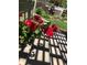 Close-up of red flowers in backyard, beautiful blooms, vibrant hues, sunny day at 10732 Cook Ct, Northglenn, CO 80233