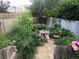 Lush backyard garden with vibrant greenery, offering a serene and private outdoor space at 10732 Cook Ct, Northglenn, CO 80233