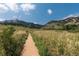 Pathway winding through a scenic landscape featuring grassy meadows, trees, and distant mountains under a blue sky at 2010 Pearl St # B, Boulder, CO 80302
