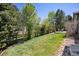 Lush backyard featuring a well-maintained lawn, mature trees, and a charming wooden fence at 8068 Dressage Rd, Littleton, CO 80125