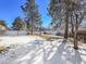 Large, snowy backyard with mature trees and white fencing at 11427 Brownstone Dr, Parker, CO 80138