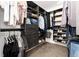 Walk-in closet with custom shelving and ample space for clothes, shoes, and accessories at 2746 Stallion Way, Mead, CO 80542