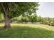 Spacious backyard with lush green lawn and mature trees at 3801 S Albion St, Englewood, CO 80113