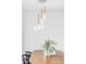 Contemporary dining room with modern light fixtures and dining table with plants as a centerpiece at 3801 S Albion St, Englewood, CO 80113