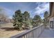 Back deck with trees overlooking the backyard on a sunny day at 5284 Taft Ct, Arvada, CO 80002