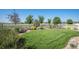Lush backyard featuring a well-maintained lawn, mature trees and beautifully landscaped garden beds at 6193 Saddle Bow Ave, Parker, CO 80134