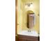 Bathroom with an oval mirror and traditional fixtures at 8879 Apache Plume Dr, Parker, CO 80134