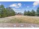 Spacious backyard with a manicured lawn at 23469 E Briarwood Pl, Aurora, CO 80016