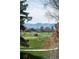 Picturesque golf course view with distant mountains framed by trees, offering scenic beauty at 3811 E 26Th Avenue Pkwy, Denver, CO 80205