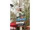 Whimsical directional signage amidst lush trees points to local spots in the vibrant LoDo neighborhood of Denver at 3069 Tejon St # B, Denver, CO 80211