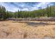 Picturesque view of a pond surrounded by golden grasses and lush forest at 57 Overlook Ct, Idaho Springs, CO 80452