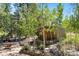 Cozy outdoor patio area with a shed roof and stone pathway amidst lush greenery and trees at 26196 Rea Ave, Conifer, CO 80433