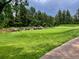 Scenic golf course with a waterfall, trees, and manicured green, for a premium golfing experience at 6303 Ellingwood Point Pl, Castle Rock, CO 80108