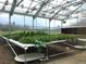 Bright greenhouse with lettuce growing indoors in rows, featuring innovative irrigation and light systems at 2920 W Parkside Pl, Denver, CO 80221